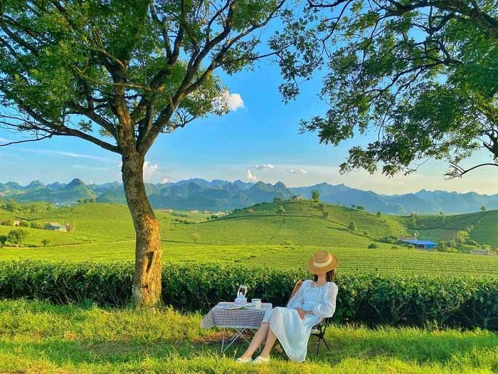 Hành trình du lịch 12 tháng khắp Việt Nam cực chill 